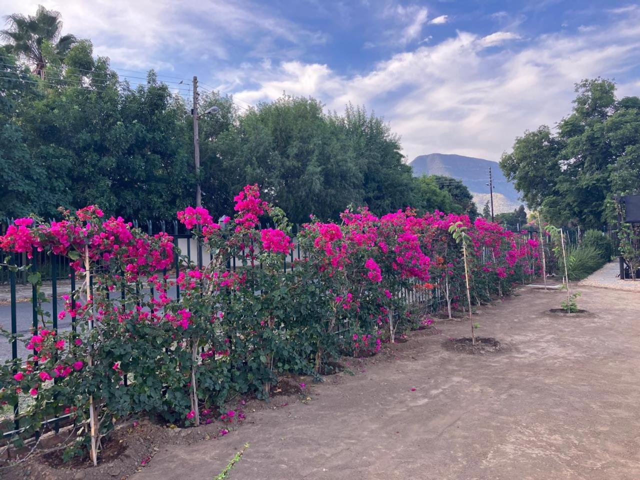 Die Dorpshuis Graaff-Reinet Eksteriør billede